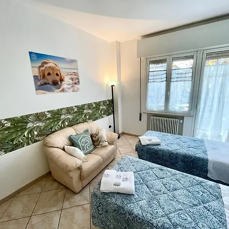 Petlyapartments #labrador 벨레지아아지마리나