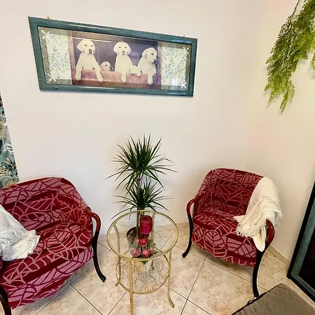 Petlyapartments #labrador