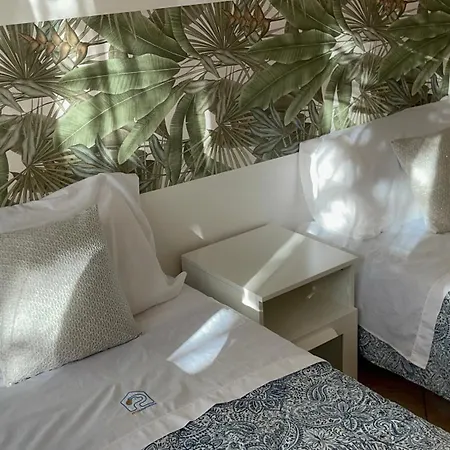 Petlyapartments #labrador