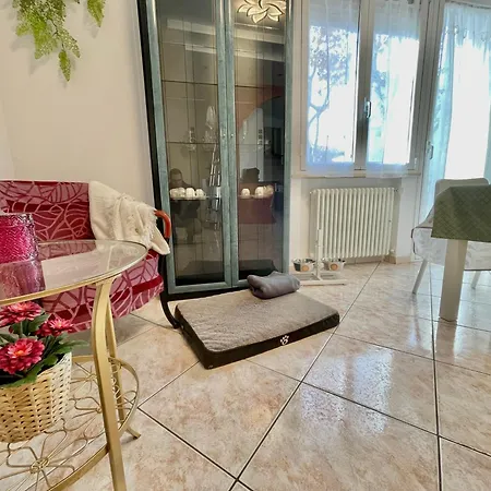 Petlyapartments #labrador