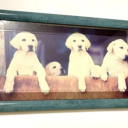 Διαμέρισμα Petlyapartments #labrador *