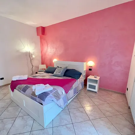 Petlyapartments #labrador