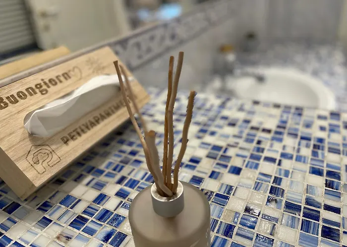 Petlyapartments #labrador