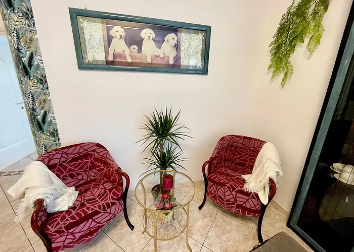 Petlyapartments #labrador