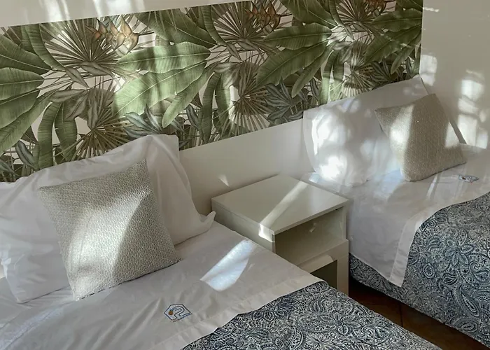 Petlyapartments #labrador