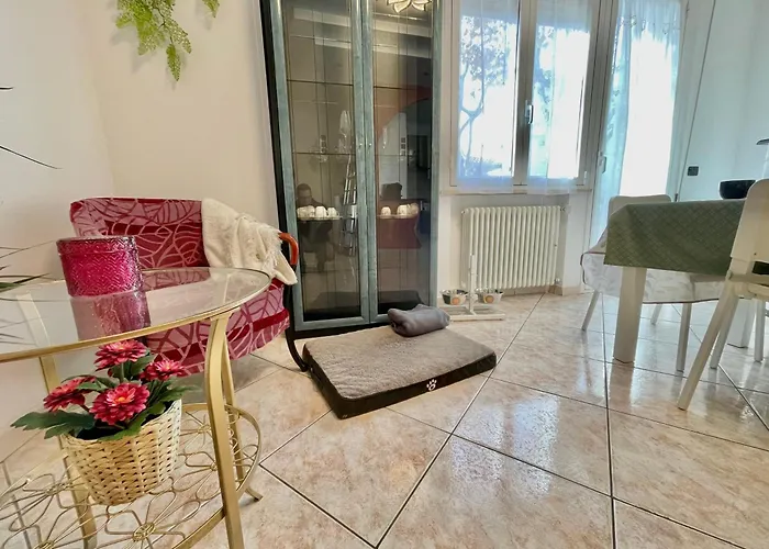 Petlyapartments #labrador