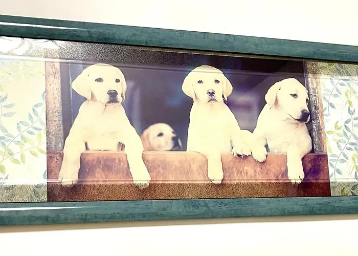 Lägenhet Petlyapartments #labrador *