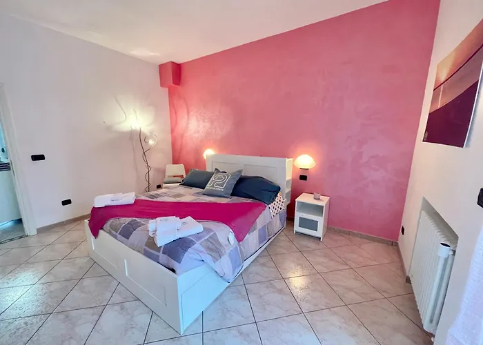 Petlyapartments #labrador